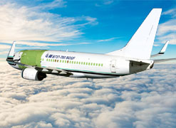 B737-700BDSF Passenger to Cargo Conversion
