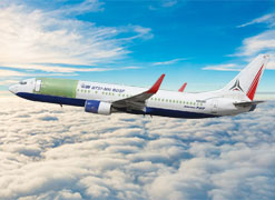 B737-800BDSF Passenger to Cargo Conversion