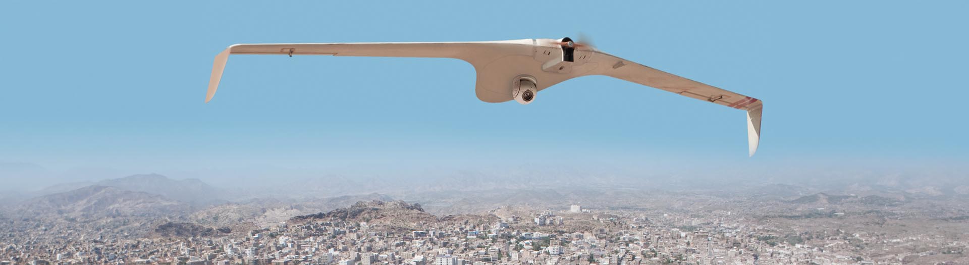 IAI's BirdEye 650D tactical UAS