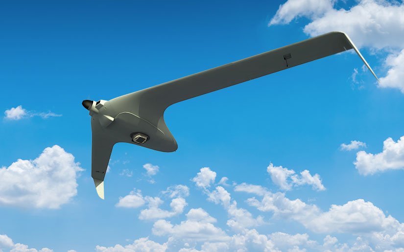 מערכת WASP על גבי מל"ט טקטי BirdEYE650D