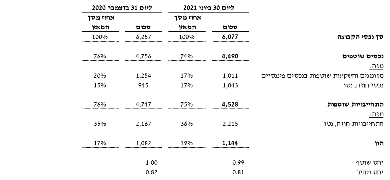 תמצית נתונים מאזניים (במיליוני דולר)