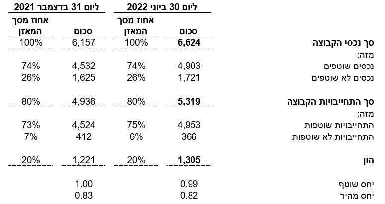 תמצית נתונים מאזניים (במיליוני דולר):