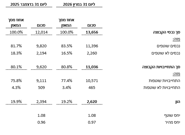 תמצית נתונים מאזניים (במיליוני דולר):