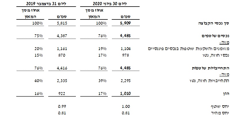 תמצית נתונים מאזניים (במיליוני דולר)