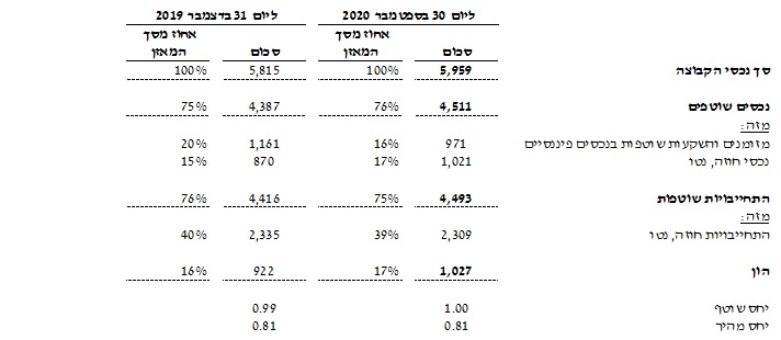 תמצית נתונים מאזניים