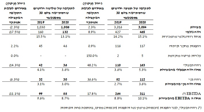 תמצית נתוני רווח והפסד