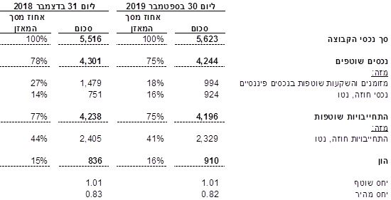 תמצית נתונים מאזניים (במיליוני דולר)