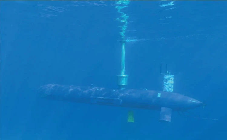 BlueWhale: Revolutionizing Maritime Security