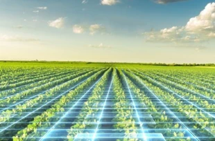 A green crop field stretches into the distance under a blue sky with clouds, overlaid with glowing digital grid lines representing smart farming or agricultural technology.