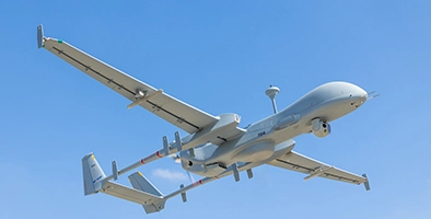 30 Years of IAI in India ​​